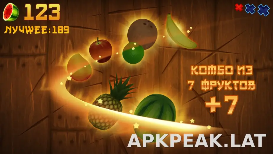 Fruit Ninja скриншот 1