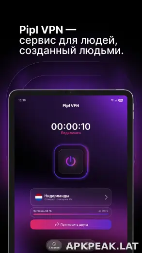 Pipl скриншот 5