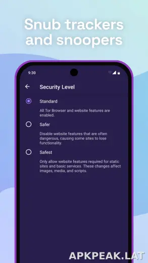 Tor Browser скриншот 4